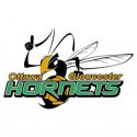 Ottawa-Gloucester-SC-logo Ottawa Gloucester SC logo