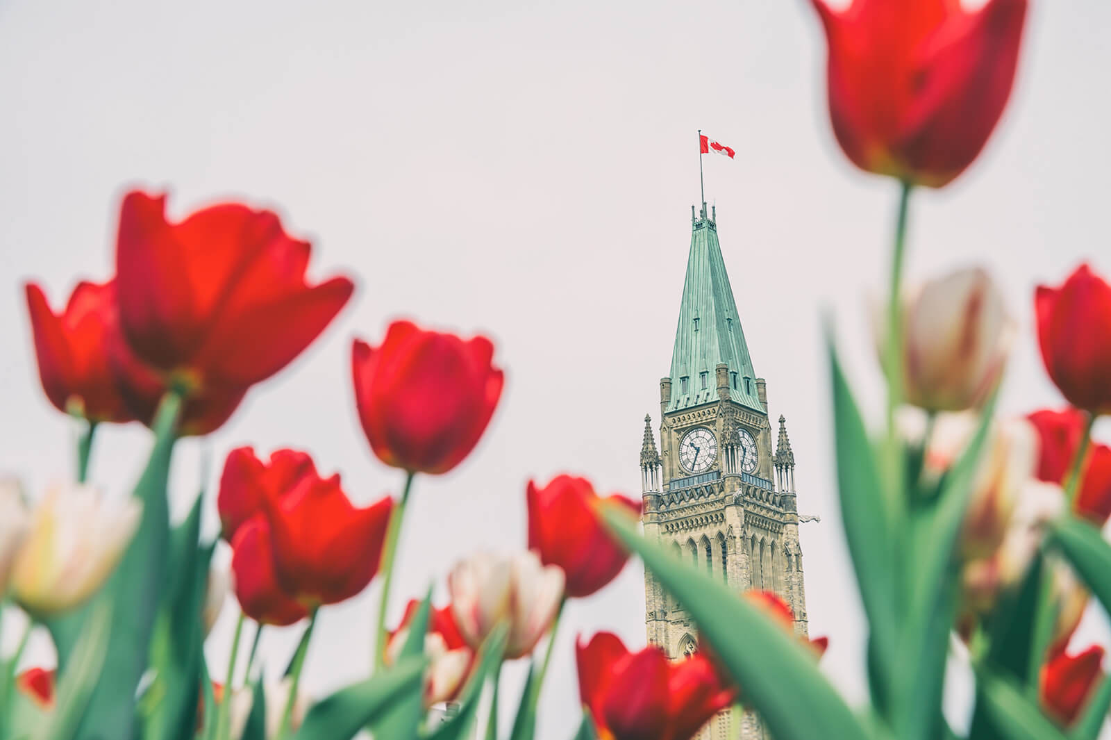 15 Reasons Working in Ottawa is Better than Anywhere Else in Canada