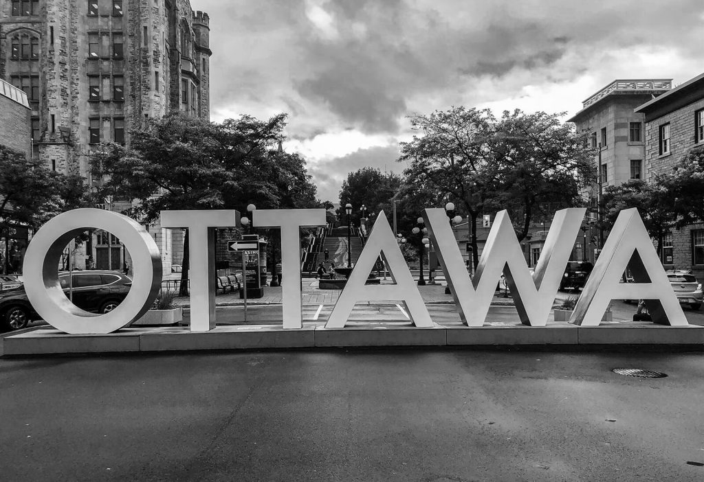 Ottawa's Job Market in 2020